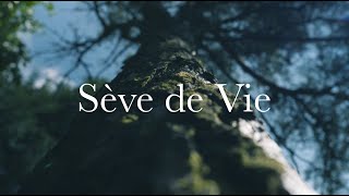 Présentation du programme Sève de Vie 🌿