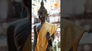 Buddhist Christ Healing While sleeping, Relax Music For Deep Focus & Peaceful Night Music #shorts