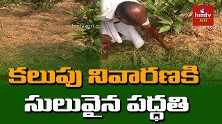 పంట పొలాల వ్యర్థాలతో మల్చింగ్ | Mulching | hmtv Agri