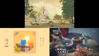 CCTV1/12/17 Chushu Idents 2022.8.23