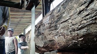 Bertahun-tahun kayu ini terbengkalai,corak galihnya mantap..!! sawmill kayu