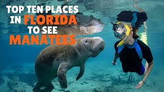 Top Ten places in Florida to see Manatees