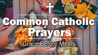 ✝️ Common Catholic Prayer: Grace Before Meals