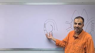 Cardiology - Heart failure lec 1 - Dr Mahmoud Allam