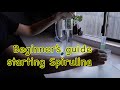 Step-by-step guide to starting your Spirulina culture