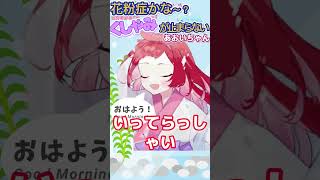 【おはよう】【いってらっしゃい】花粉症？くしゃみが止まらないあおいちゃん♡♡ #新人vtuber #オキアミ #vtuber #個人vtuber #個人勢vtuber @aoiunabara3329