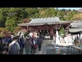 「大山阿夫利神社」紅葉2024 autumn leaves in japan