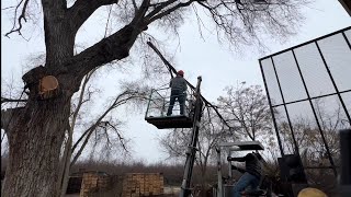 Emergency Tree pruning session with a homemade lift!