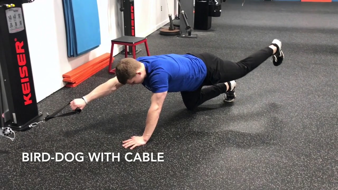 18 Anti-Rotation Exercises To Build And Bulletproof Your Core - YouTube