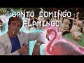 Panda Skare - Santo Domingo Flamingo (Music Video)