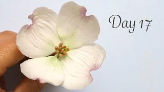 Dogwood | Day 17 | 30 Days of Sugar Flowers