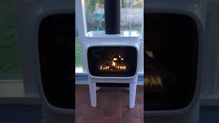 Jotul GF 305 DV IPI