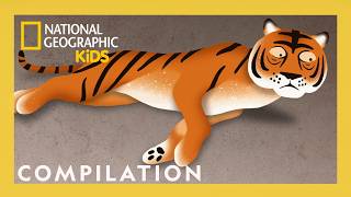 Weird But True! Shorts Compilation | Funny Animals | @natgeokids