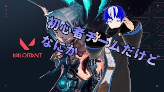 【VALORANT】初心者でチームを組むとどうなる？【参加型】