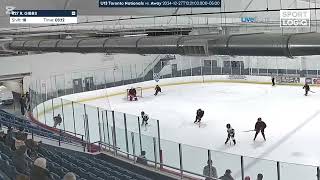 GTHL Toronto Nationals U13 2024/2025 season - Marlies Holiday Classic (Nats vs Southern Tiers)