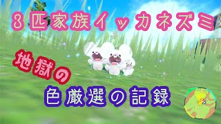 【ポケモンSV】３匹家族イッカネズミ色厳選獲得までの記録