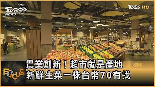 農業創新！超市就是產地 新鮮生菜一株台幣70有找｜彭志宇｜FOCUS全球新聞 20210402