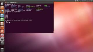 How to Read a File Line by Line in Bash