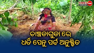 TIMES ONE ODIA #ପାଳିତ ହେଲା ଧରତୀ ପେନୁ ପରମ୍ପରା #ବିଷମକଟକ #କମଳାକାନ୍ତ ବାତ୍ରା #akshayachand#