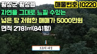 매매완료-나는자연인이다. 횡성읍 넓은 땅 농막 저렴한 가격! 면적 2781㎡ (841평) 매매가 5000만원