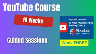 YouTube Guided Course Week 3