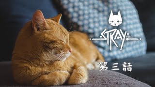 STRAY 第三話