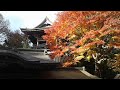 yakuoin temple on mt takao tokyo