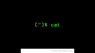 Linux CAT Command from scratch