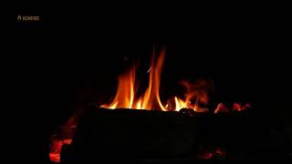 Night Fire in the Dark Background Video🔥12h Crackling Fireplace Sleep Sounds \u0026 Black Screen 12 Hours