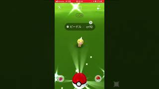 ビードルの色違い出現シーンを都立晴海総合高校にて（Pokémon GO）