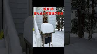 【北海道冬の様子】除雪機初出動