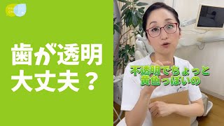 【質問】歯の先っぽが透明って、大丈夫ですか？ #shorts