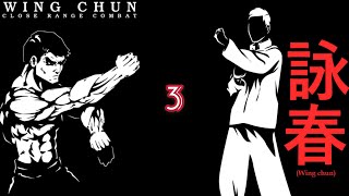 wing chun kung fu lesson 3 basic drills / footwork , kicks , tutorial / 咏春功夫第三课