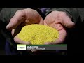 agweektv ethanol support