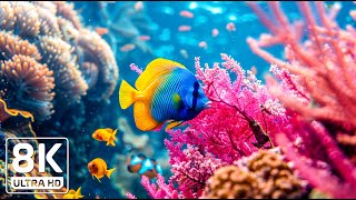 Tropical Waters 8K - Stunning Coral Reefs and Relaxing Marine Life