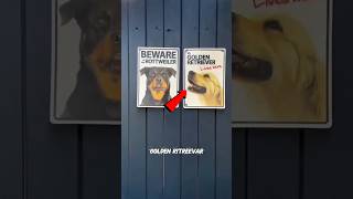 Beware Dogs Twist Inside Actingchallenge