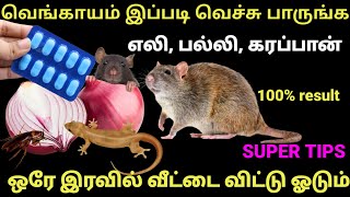 வெங்காயம் இப்படி யூஸ் பண்ணுங்க ஒரு எலி பல்லி கரப்பான் கூட வீட்டு பக்கம் வரவே வராது get rid off rat