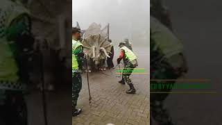 Living Triceratops Dinosaurs Still Found In Indonesia ! Jurassic Park Dino Colle