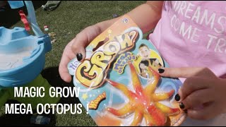 Magic Grow Mega-Octopus Experiment !!! (before and after)