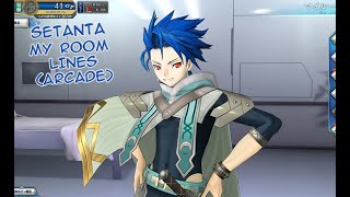 【FGO Arcade】Setanta My Room Voice Lines (ENG)