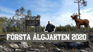 Första älgjakten 2020 | får besök av orrtupp