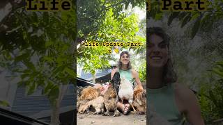 Life Update · Part 2 ♡ #shorts