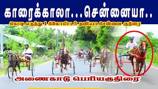 பெரிய  குதிரை-அணைக்காடு - -தஞ்சாவூர் மாவட்டம் -25-06-2022  - 16 வண்டிகள்