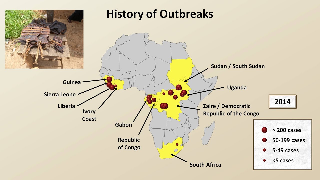 Ebola Virus Outbreak Map