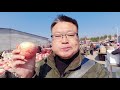 山东烟台苹果大量上市 ，带你看看收购价怎么样，看完后别吃惊！yantai apple