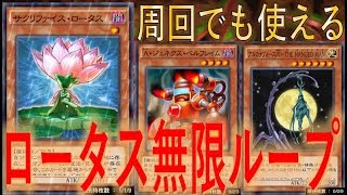 【攻撃力∞】周回でも使える！ サクリファイス・ロータス無限ループバーン【遊戯王デュエルリンクス】【Yu-Gi-Oh! DUEL LINKS】