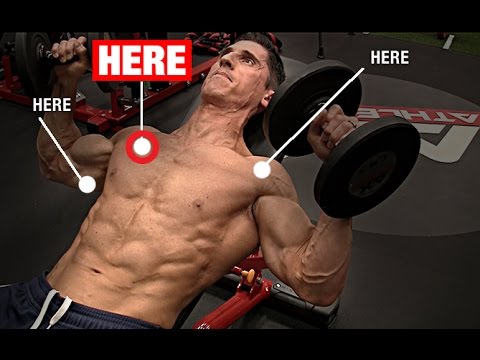 Dumbbell Bench Press (BETTER CHEST ACTIVATION!) Dumbbell Bench Press (BETTER CHEST ACTIVATION!)