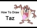 How to Draw Taz (Tasmanian Devil)