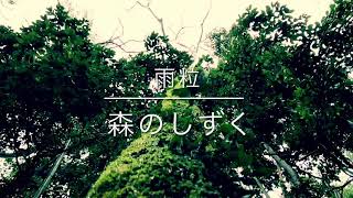 【京の秘密の森】森のしずく 静かな雨の日　5分でいい 立ち止まって空を見上げてみよう 青空でもなく　晴れでもない空でも きっと優しい 雨粒はきらめく星のよう