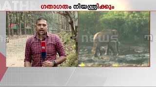 അതിരപ്പള്ളി ആന ദൗത്യം; ആന ഉള്‍വനത്തിലെന്ന് നിഗമനം, കാട്ടിനകത്ത് മയക്കുവെടി വെക്കുക അസാധ്യം